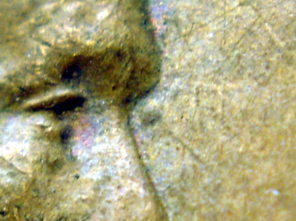 1946-P-LMC---Dot-By-Left-Eyebrow-Area.